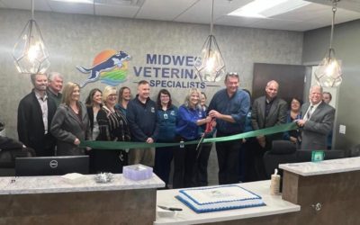 Midwest Veterinary Specialists Ribbon Cutting October 31st, 2022